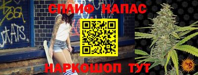 тгк Будённовск