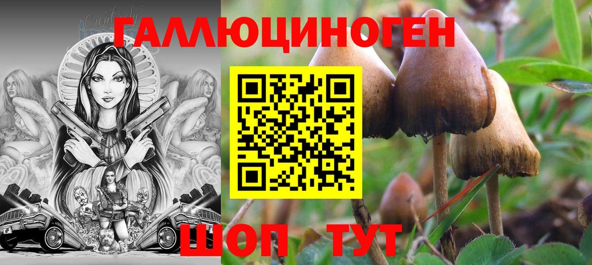 Галлюциногенные грибы MAGIC MUSHROOMS  Псилоцибиновые грибы Magic Shrooms  Мелеуз  Вход с VPN 