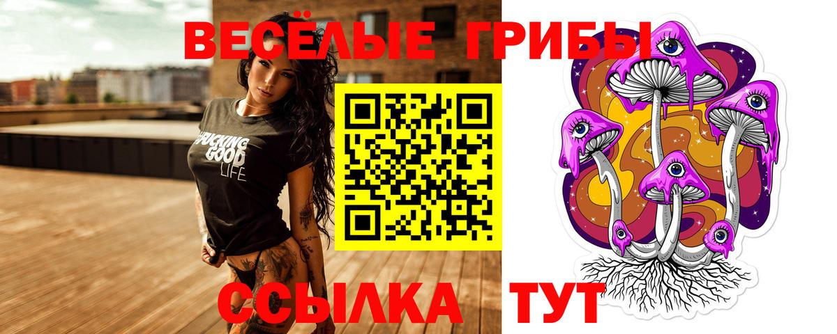 Галлюциногенные грибы Psilocybe Мелеуз